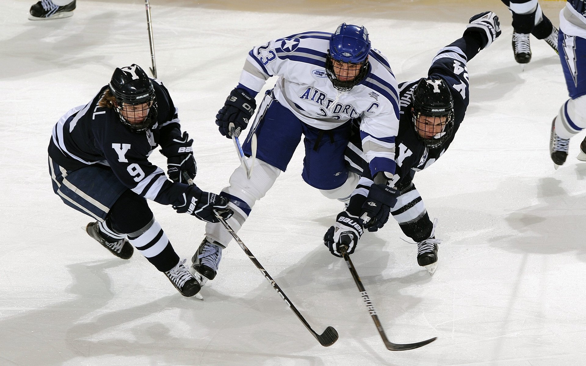 奥利维耶的救赎，当阿尔及利亚血性点燃勒沃库森奇迹